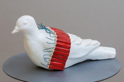 Contre-attaque, pigeon, 2010